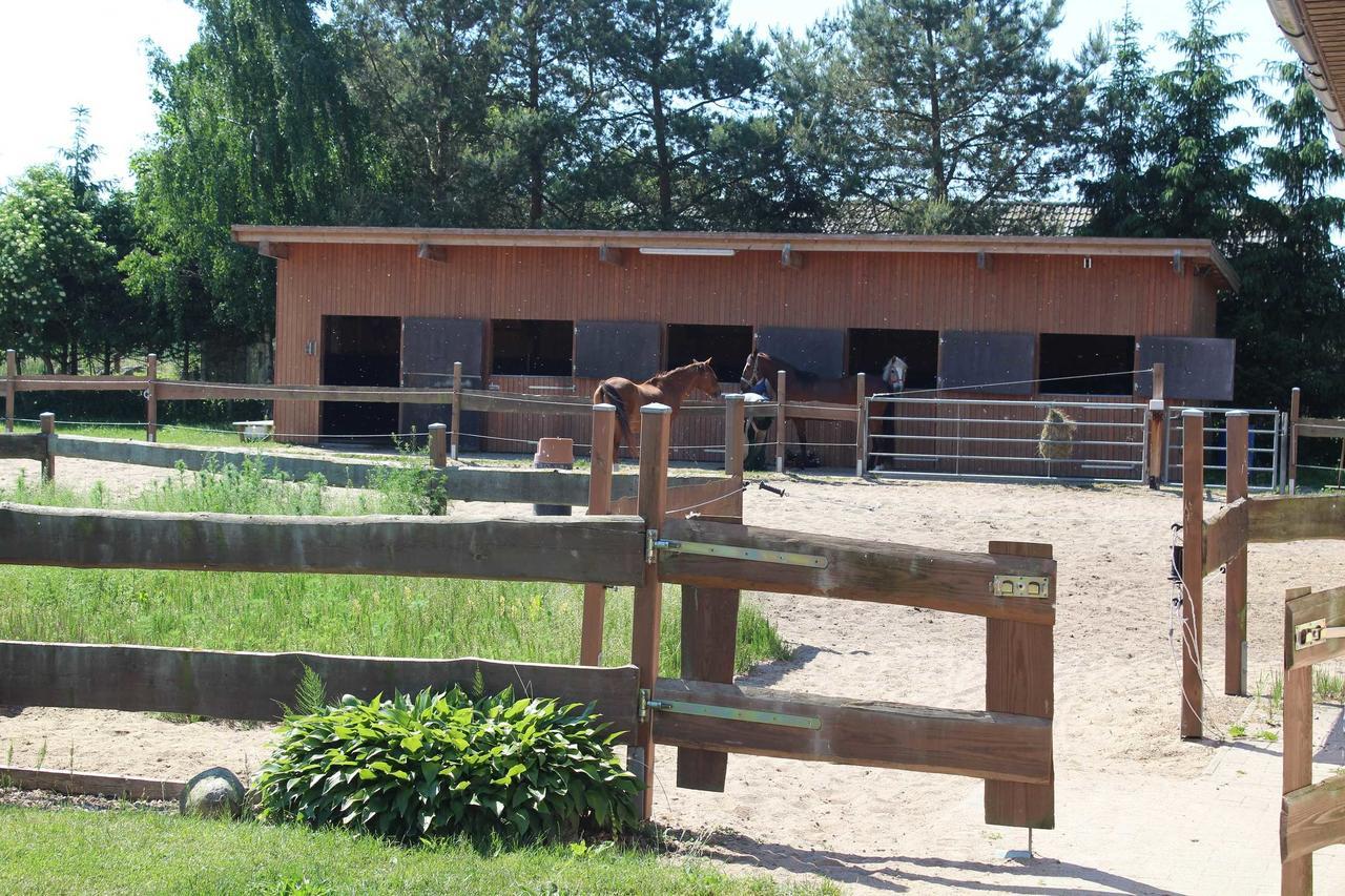 Landhaus Peene Sophienhof Ngoại thất bức ảnh