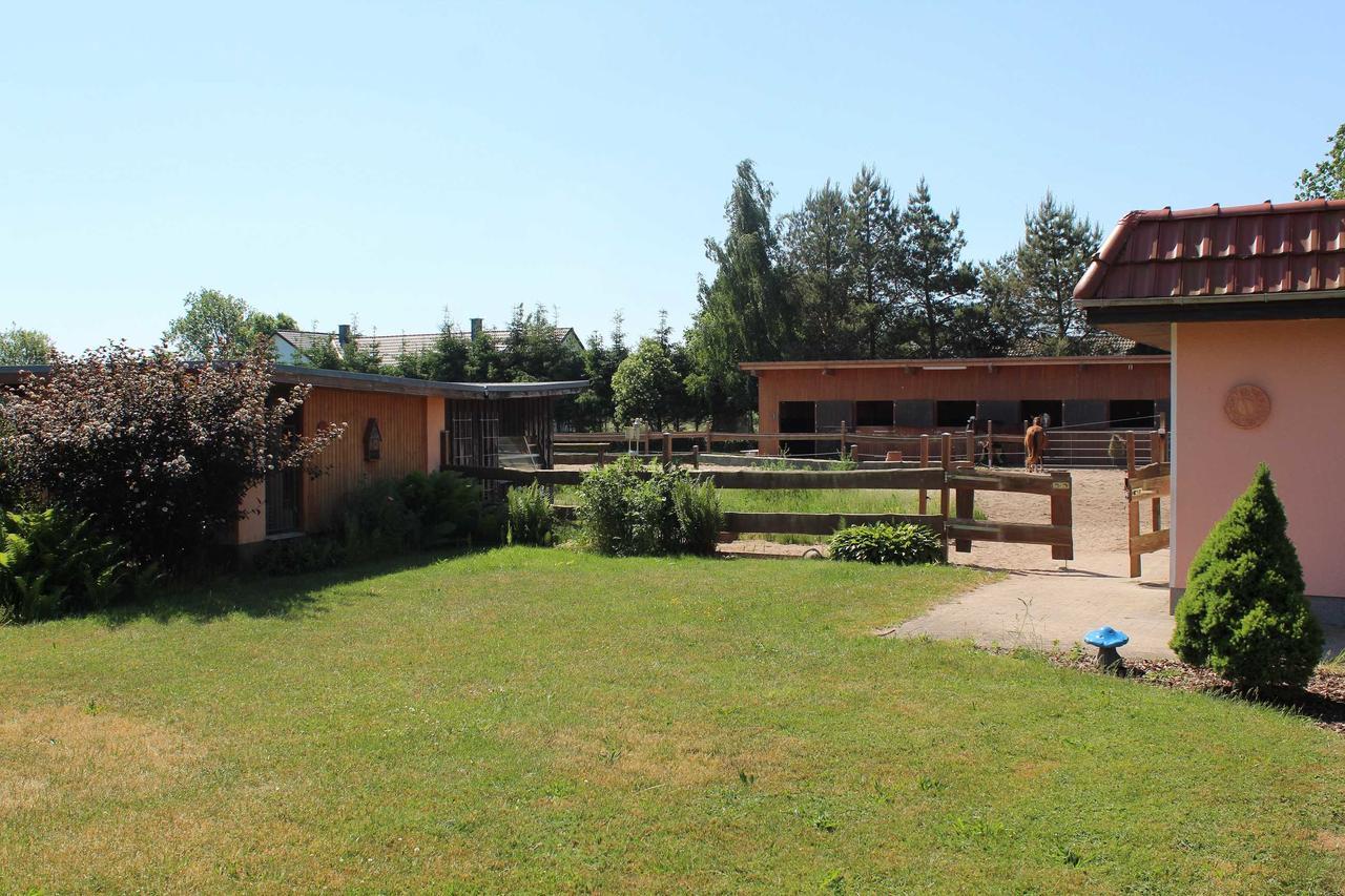 Landhaus Peene Sophienhof Ngoại thất bức ảnh